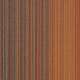 CS-282 C